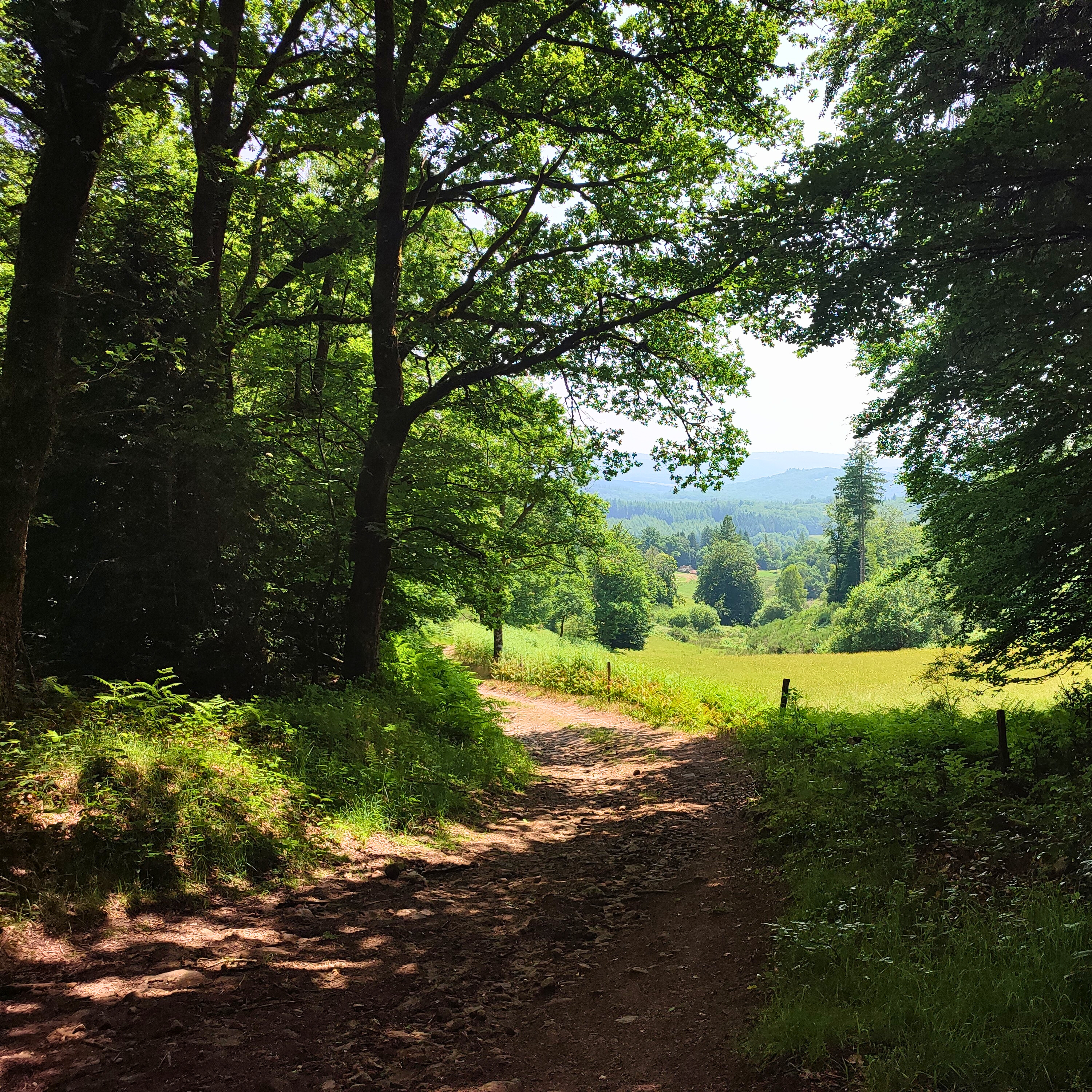 Chemin du col du Calomet