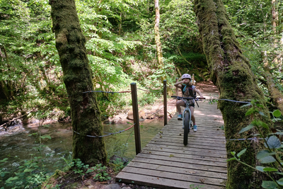 Les berges de la Vézère - Uzerche