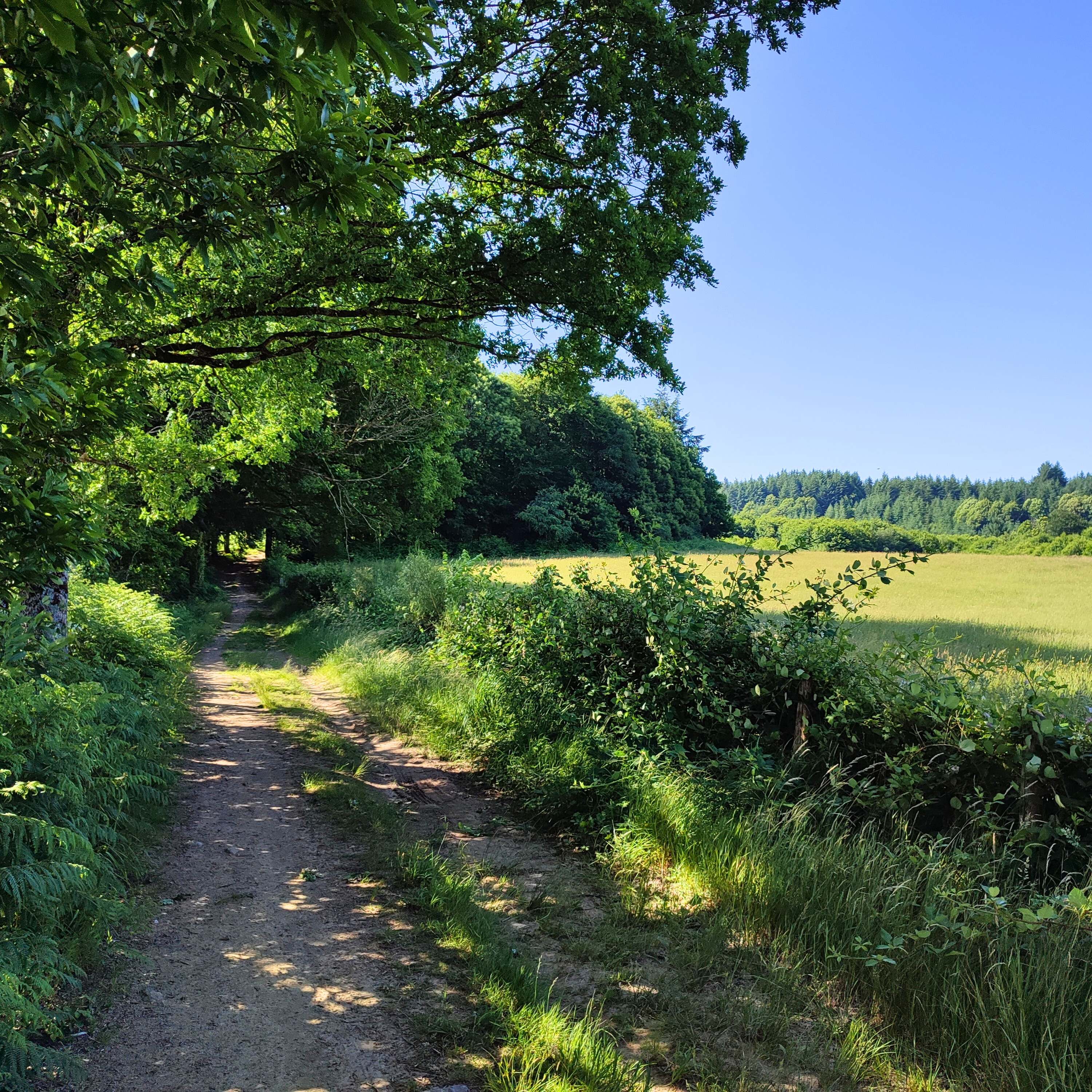 Chemin du Puy de la Bessade