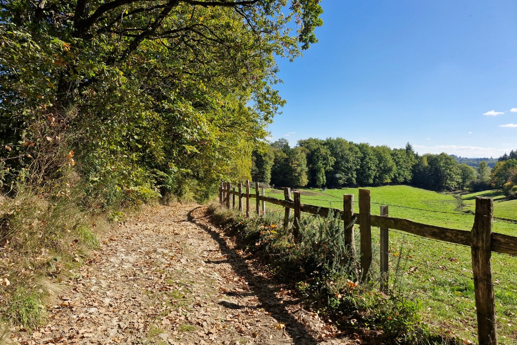 Randonnée de la Forêt