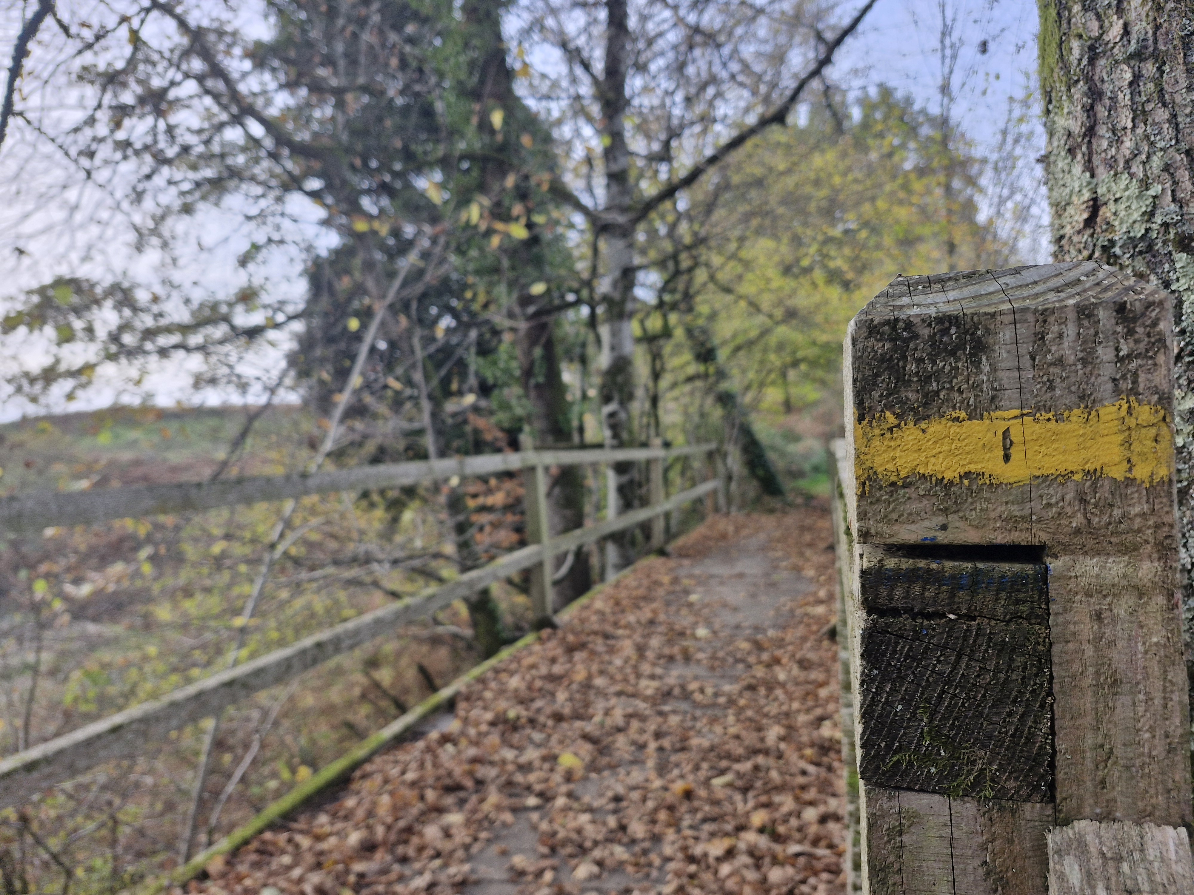 Circuit du pont de la roche