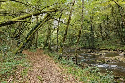 Chemin des vitraux